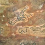 Topographie du coeur 