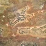 Topographie du coeur 